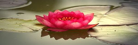 _wsb_keyvisual _wsb_keyvisual